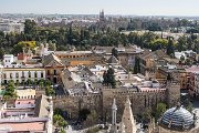 Pokud zavítáte do Sevilly, rozhodně nevynechejte návštěvu královského paláce Alcázar.