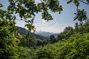 Cestu lemují a od Slunce nás stíní vzrostlé duby a obrovské jedlé kaštanovníky. Hřebeny hor západních Pyrenejí jsou plné zeleně díky srážkám, které sem přináší vlahý vzduch od Atlantiku.