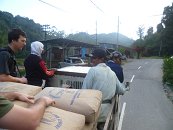 Začíná druhá část našeho malajského dobrodružství. A ta rozhodně stála za to! Jednoho dne jsme se chtěli dostat k velkým čajovým plantážím ležícím v jistém bočním údolí od hlavní silnice a nejlépe ještě poměrně daleko za ně, kde se mělo nacházet pár malých domorodých vesniček. Do těch už údajně ani nevedla zpevněná komunikace. No uvidíme...Byla před námi opravdu hodně dlouhá cesta a potřebovali jsme se stopem dostat co možná nejdál. Hned na úvod jsme stopli tyhle dělníky a tak jsme se mezi balíky cementu posunuli o pár kilometrů dál.