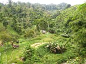 Kolem cesty jsou tu a tam roztroušena malá stavení.