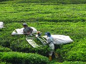 Toto je již fotka z druhého dne, kdy jsme opět na místě činu. Chtěli jsme se dnes dostat zase o kousek dál.