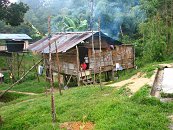 Jsme podruhé v Kampung Panggen. Kouzelná vesnička...Konečně opravdová Malajsie, kde se bílý &#34;turista&#34; objeví jen jednou za čas. Logicky jsme zde středem pozornosti.