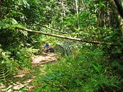 Jsme naprosto opuštění, obklopeni jen pralesem a vedeni GPSkou.