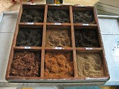 A taky jsme se dnes podívali na proces výroby čaje v místní fabrice. Zde jsou ukázky různých čajových produktů.