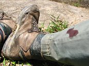 Ha, pijavka. Když jsem si vyhrnul nohavici, už tam potvora nebyla, asi jsem ji během chůze setřel.